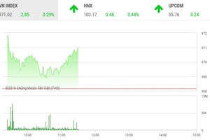 Phiên sáng 13/12: Cổ phiếu nhỏ dậy sóng