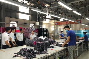 Đầu tư và Thương mại TNG (TNG) về đích sớm sau 11 tháng