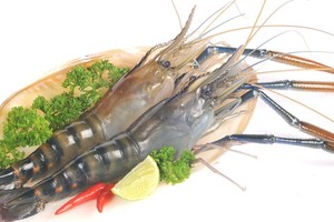 Thực phẩm Sao Ta (FMC) tạm ứng cổ tức bằng tiền mặt, tỷ lệ 15%