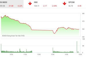 Phiên chiều 30/1: Thị trường lao dốc, nhiều cổ phiếu vẫn ngược dòng tạo sóng