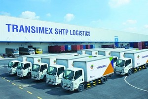 Transimex (TMS) trả cổ tức 15% bằng cổ phiếu