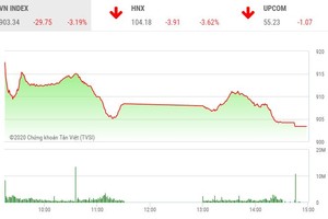 Phiên chiều 24/2: Nhà đầu tư bán tháo, VN-Index mất gần 30 điểm