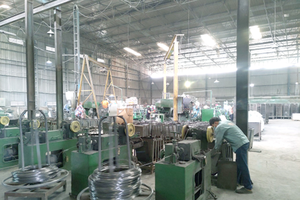 Thiên Nam (TNA) tạm ứng cổ tức bằng tiền mặt, tỷ lệ 5%