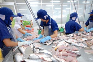 Nam Việt (ANV) chi hơn 127 tỷ đồng tạm ứng cổ tức đợt 1/2019