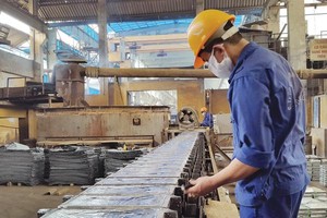 Kim loại màu Thái Nguyên – Vimico (TMG) trả cổ tức năm 2019 bằng tiền, tỷ lệ 50%