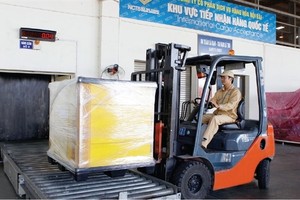 Noibai Cargo (NCT) dự kiến chia cổ tức năm 2019 với tỷ lệ 85%