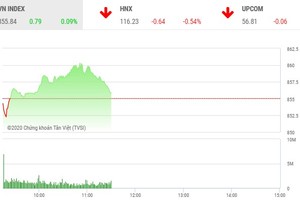 Giao dịch chứng khoán sáng 14/8: Phân hóa rõ nét