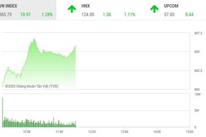 Giao dịch chứng khoán sáng 24/8: Dòng tiền lớn nhập cuộc, VN-Index khởi sắc