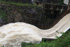 Sau 2 lần thất bại, Sông Đà Hoàng Long đã bán được hơn 4,1 triệu cổ phiếu NED