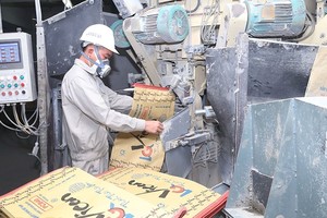 9 tháng, Vicem Bao bì Bỉm Sơn (BPC) ước lợi nhuận đạt 5,7 tỷ đồng