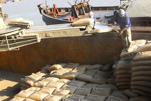 Gần 40 triệu cổ phiếu Xi măng Quảng Ninh (QNC) sẽ hủy niêm yết trên HNX