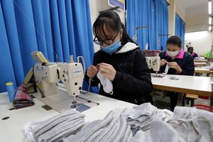 May 10 (M10) trả cổ tức năm 2019 bằng tiền, tỷ lệ 17%