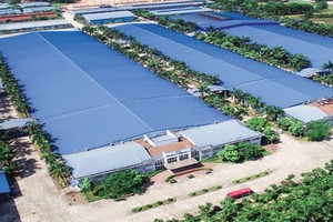 Hạ tầng Vĩnh Phúc (IDV) chốt danh sách cổ đông tạm ứng cổ tức 10% bằng tiền