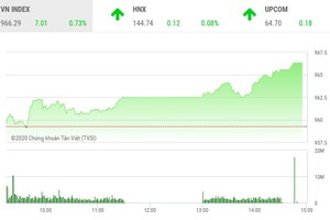 Giao dịch chứng khoán chiều 13/11: Xuất hiện nhiều điểm nóng, VN-Index vượt xa mốc 960 điểm