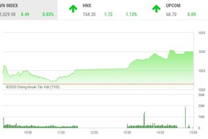 Giao dịch chứng khoán chiều 7/12: Các nhóm cổ phiếu đua nhau nổi sóng, VN-Index lên sát mốc 1.030 điểm