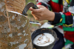 Cổ phiếu cần quan tâm ngày 11/12