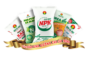 PVCFC (DCM) chốt quyền chia cổ tức năm 2020 bằng tiền mặt, tỷ lệ 8%