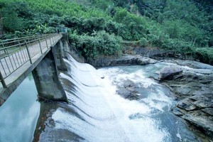 Đầu tư Năng lượng Trường Thịnh (TTE): Thành viên Ban kiểm soát đăng ký mua 1 triệu cổ phiếu