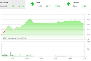 Giao dịch chứng khoán chiều 29/1: Niềm vui chưa trọn