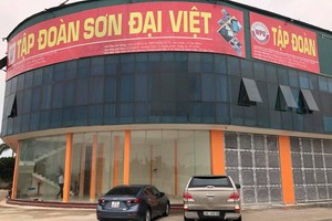 Ký giao dịch chưa được Đại hội đồng cổ đông thông qua, Tổng giám đốc Đại Việt Group DVG bị xử phạt