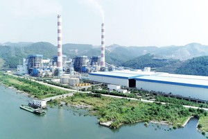 Nhiệt điện Quảng Ninh (QTP): Cơ Điện lạnh tiếp tục đăng ký bán 12 triệu cổ phiếu