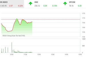 Phiên giao dịch sáng 5/3: Đỉnh điểm "bảng sai, lệnh nghẽn"