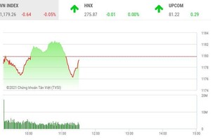 Giao dịch chứng khoán sáng 17/3: Thị trường rung lắc, cổ phiếu phân bón "thăng hoa"