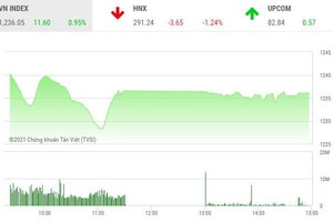 Giao dịch chứng khoán chiều 5/4: SHB bị chốt lời ồ ạt cuối phiên, HNX-Index rơi mạnh