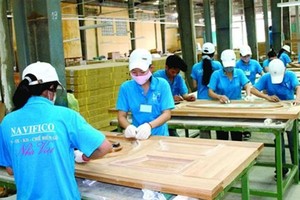 Navifico (NAV) chốt quyền trả cổ tức 8% bằng tiền mặt