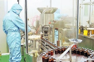 BIO: Giá tăng gấp gần 10 lần sau hơn nửa tháng mua vào, Ủy viên HĐQT muốn chốt lãi 