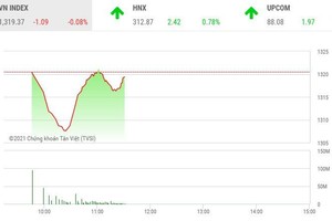 Giao dịch chứng khoán sáng 31/5: Thanh khoản lập kỷ lục, cổ phiếu chứng khoán đua nhau tăng trần