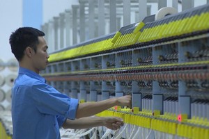 Đầu tư và Thương mại Vũ Đăng (SVD) phát hành 12,9 triệu cổ phiếu, giá 10.000 đồng/CP