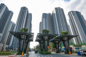 TNS Holdings (TN1) lên phương án chia cổ tức bằng cổ phiếu, tỷ lệ 45%