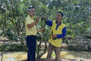 Giá phân bón: Góc nhìn từ quy luật thị trường và nỗ lực đồng hành với người tiêu dùng