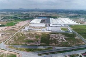 Vinaruco (VRG): Công ty của Chủ tịch đăng ký mua 1,5 triệu cổ phiếu