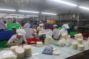 Thực phẩm Bích Chi (BCF) trả cổ tức bằng cổ phiếu, tỷ lệ 100:20