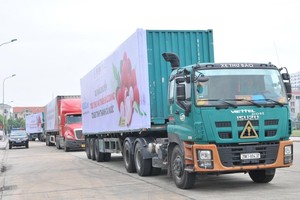 Tháo gỡ khó khăn logistic thương mại điện tử đảm bảo lưu thông hàng hoá