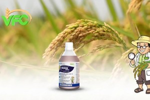 Khử trùng Việt Nam (VFG) tạm ứng cổ tức 10% bằng tiền mặt