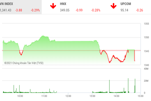 Giao dịch chứng khoán chiều 13/9: Thị trường quay đầu, nhóm cổ phiếu "Louis" vẫn nóng