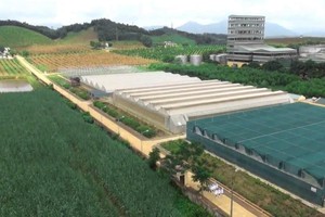 Mía đường Lam Sơn (LSS): Con dâu Chủ tịch đăng ký bán hết hơn 1% vốn sở hữu