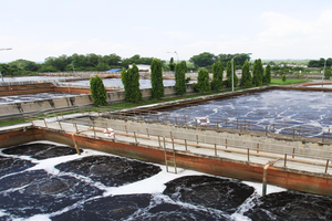 Dịch vụ Sonadezi (SDV) trả cổ tức 20% bằng tiền mặt