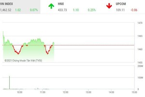 Giao dịch chứng khoán sáng 10/11: Thị trường rung lắc, nhóm cổ phiếu dầu khí nổi dậy