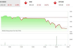 Giao dịch chứng khoán chiều 17/1: Nhận hiệu ứng domino, chứng khoán bị bán tháo