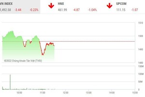 Giao dịch chứng khoán sáng 17/1: Sau bất động sản, đến lượt nhóm chứng khoán gây khó thị trường