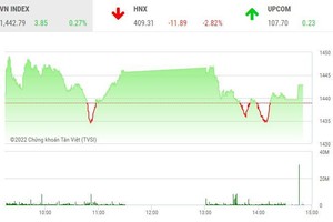 Giao dịch chứng khoán phiên chiều 19/1: Sắc tím đã bừng lên chào Tết