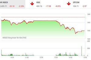 Giao dịch chứng khoán chiều 24/1: Bán tháo trên diện rộng, hàng trăm mã giảm sàn