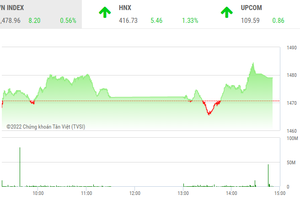 Giao dịch chứng khoán chiều 28/1: Tưng bừng tiệc cuối năm