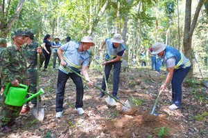 Coteccons khởi động chiến dịch trồng cây “Green Up” trong dự án bảo tồn rừng tại Phong Nha - Kẻ Bàng