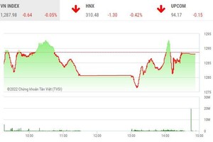 Giao dịch chứng khoán chiều 3/6: Thị trường hồi hơn 10 điểm, đột biến OGC