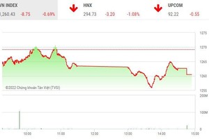 Giao dịch chứng khoán chiều 22/8: Sắc đỏ ngập tràn, mốc 1.260 điểm vẫn không thủng
